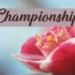 Championship Script Font - Fonte Grátis Championship Script Font