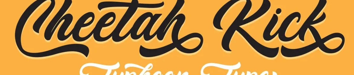 Cheetah Kick Script Font