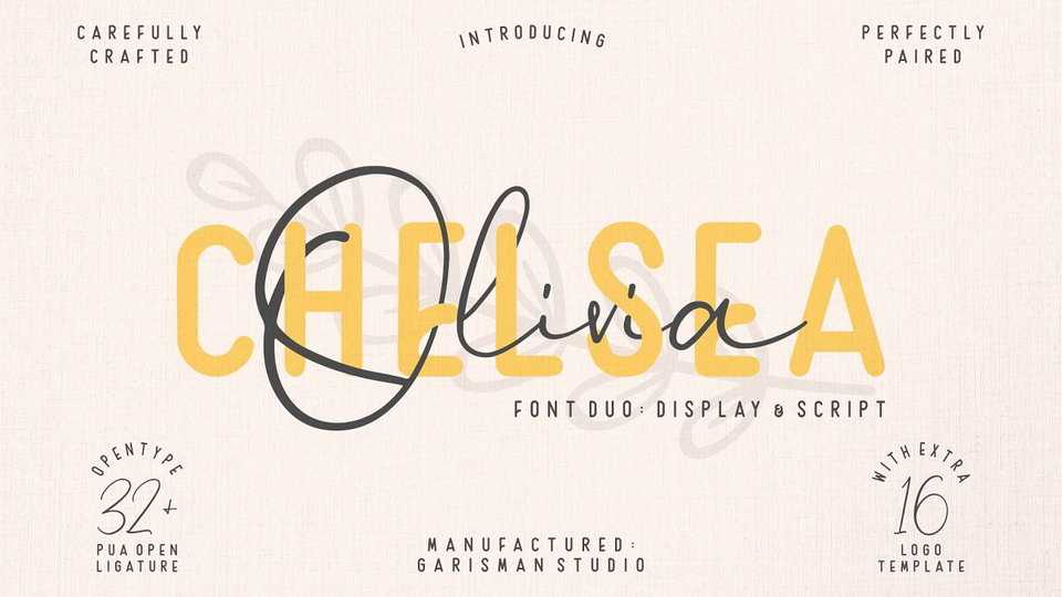 Chelsea Olivia Script Font › Fontesk