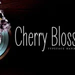 Cherry Blossom Display Font
