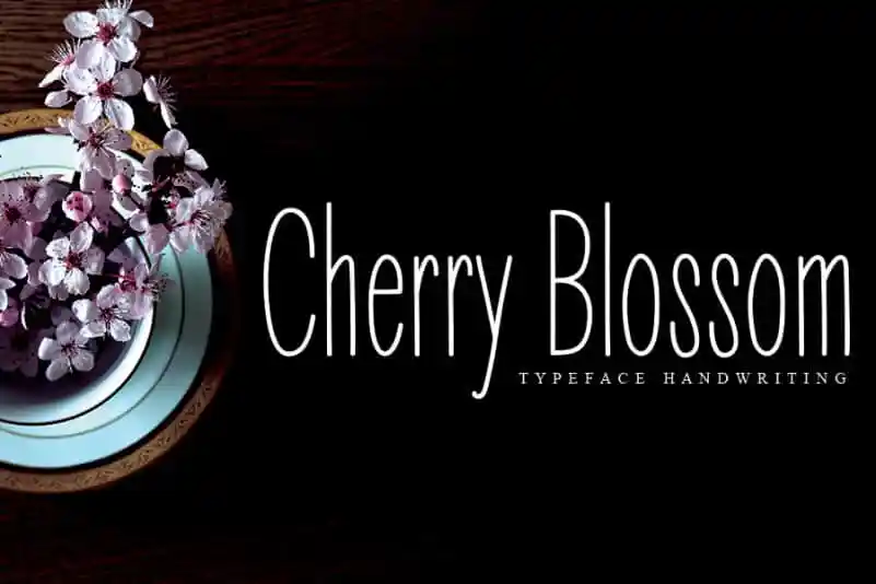 Cherry Blossom Display Font