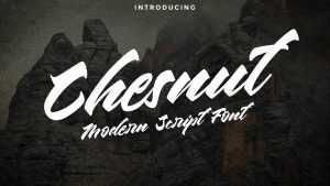 Chesnut Script Font › Fontesk