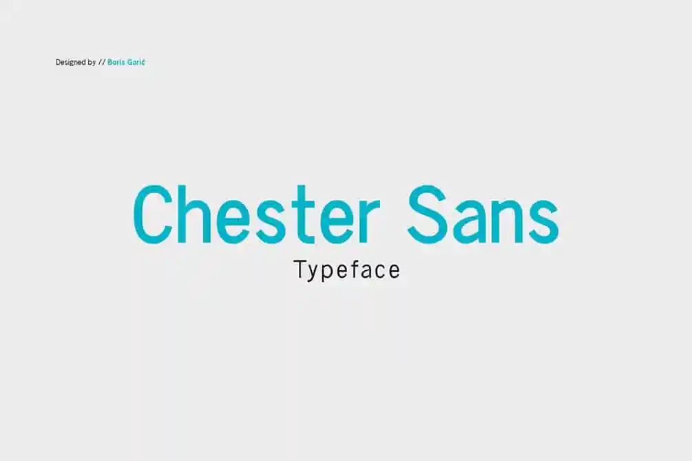 Chester Sans Font Family