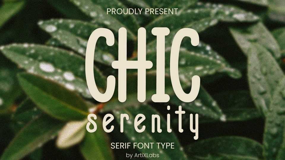 Chic Serenity Font › Fontesk
