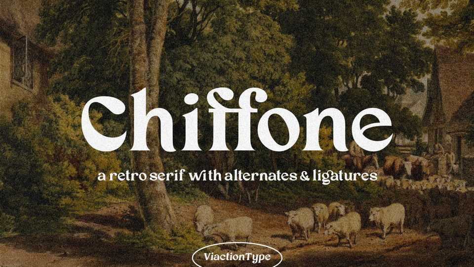 Chiffone Font › Fontesk
