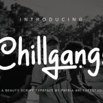 Chillgangs Script Font