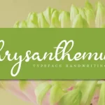 Chrysanthemum Handwritten Font - Fonte Grátis Chrysanthemum Handwritten Font