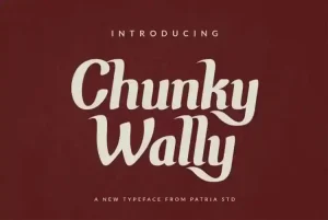 Chunky Wally Display Font