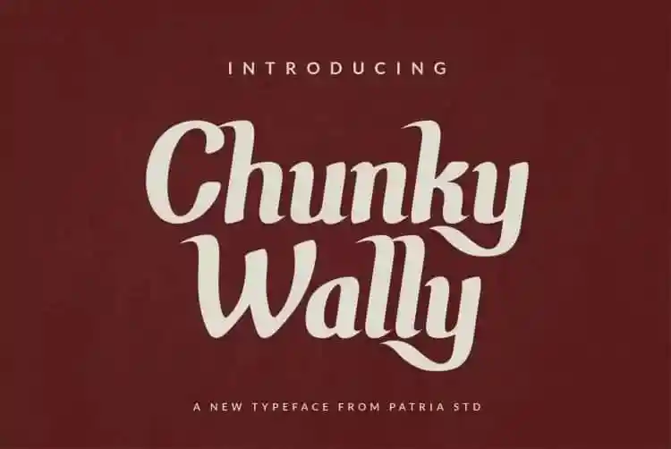 Chunky Wally Display Font