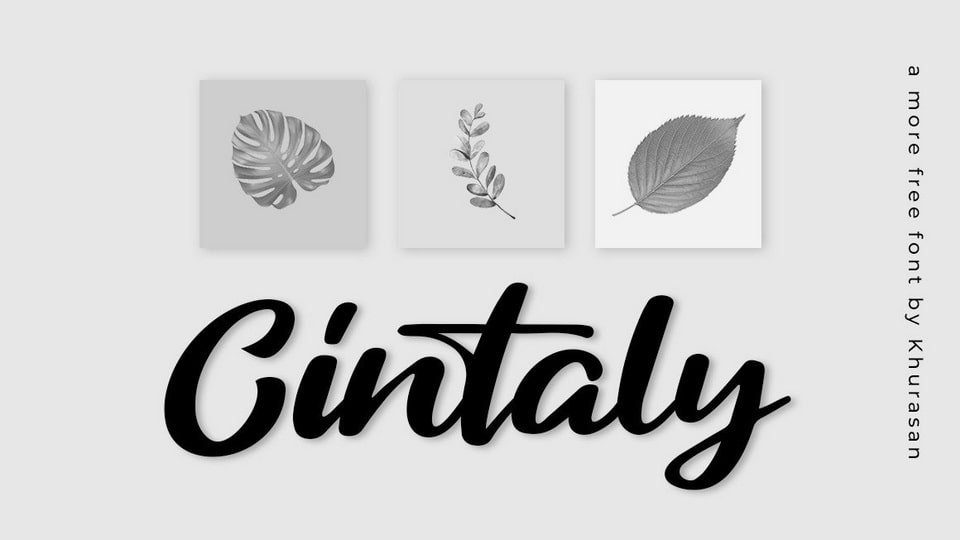 Cintaly Font › Fontesk