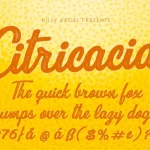 Citricacid Font