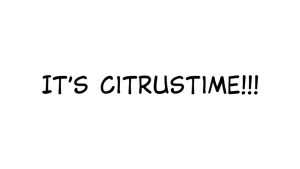 Citrustime Font › Fontesk