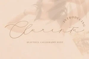 Clarinta Calligraphy Font