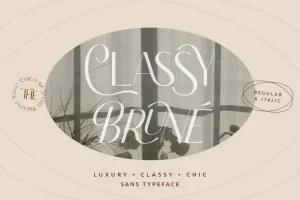 Classy Brune Sans Serif Font