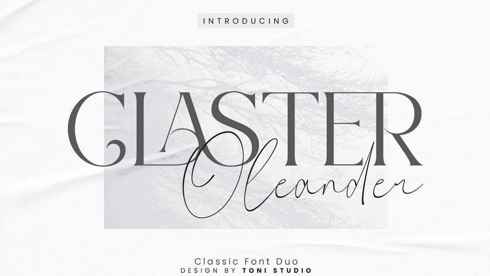 Claster Oleander Font › Fontesk