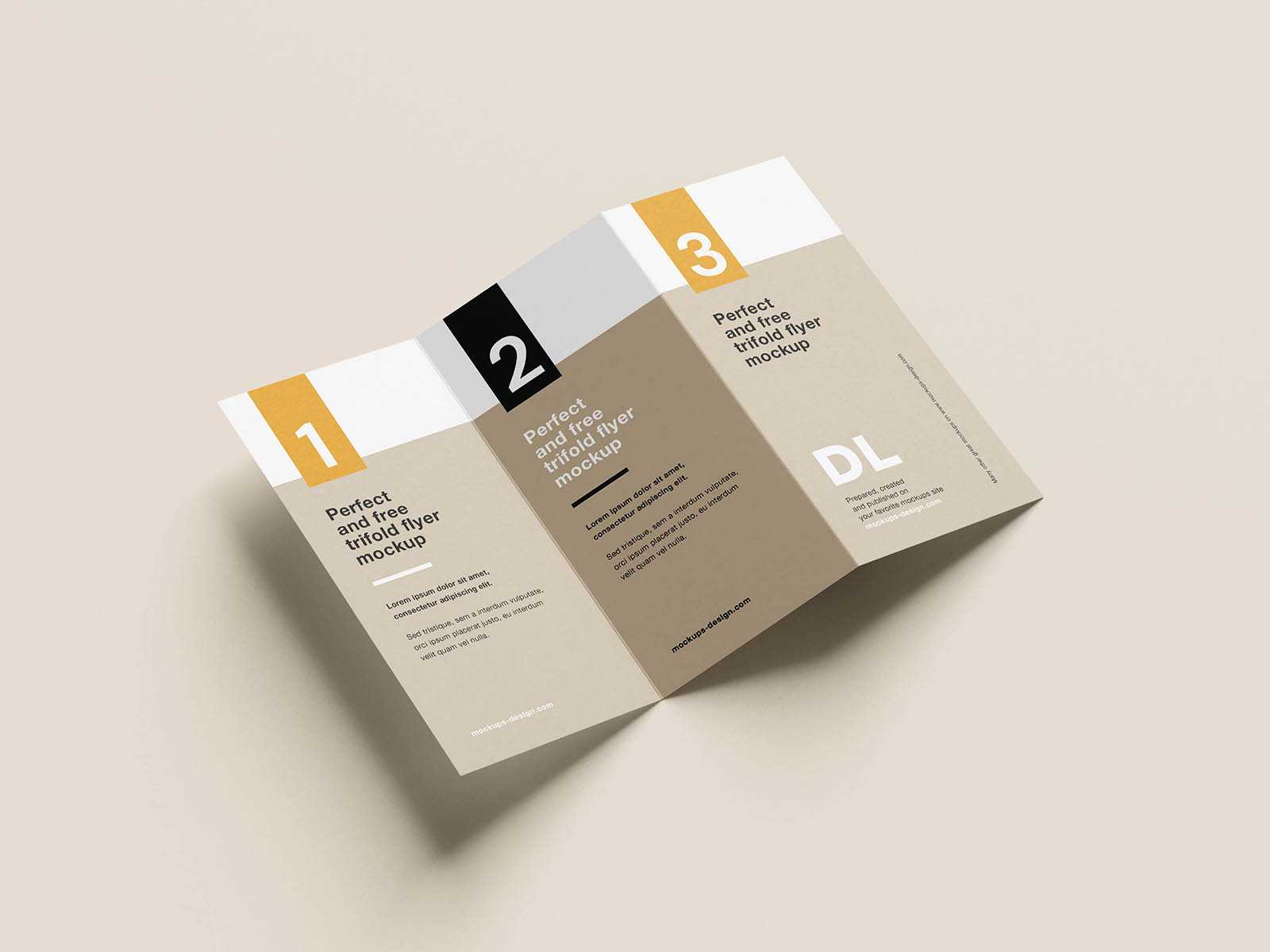 Clean tri-fold DL flyer mockup