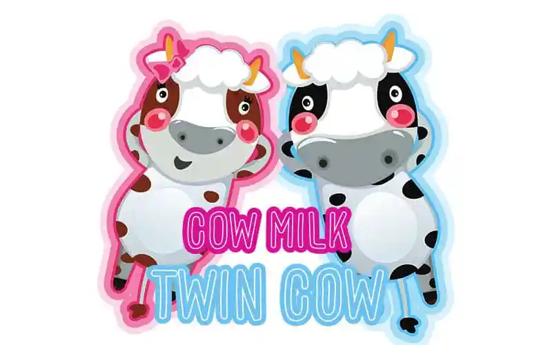 Coco Milk Display Font