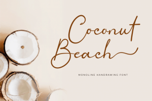 Coconut Beach Calligraphy Font