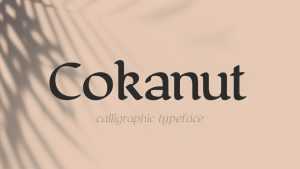 Cokanut Font Family › Fontesk