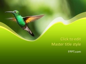 Colibri PowerPoint Template