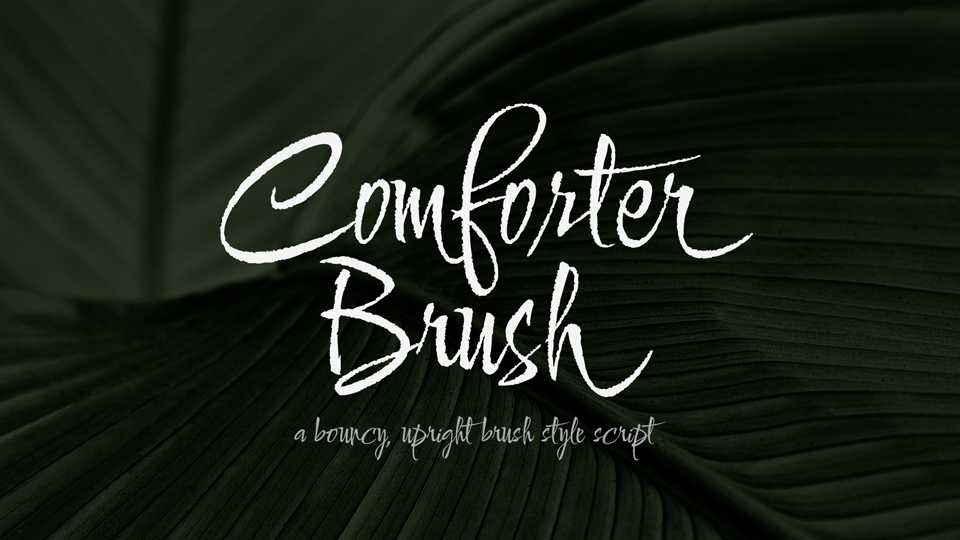 Comforter Brush Font › Fontesk