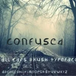 Confused Typeface