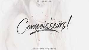 Connoisseurs Script Font › Fontesk