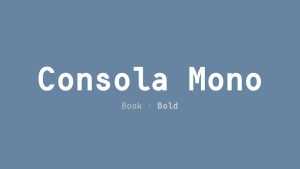 Consola Mono Font Family › Fontesk