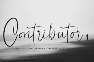 Contributor Calligraphy Font