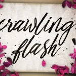 Crawling Flash Script Font