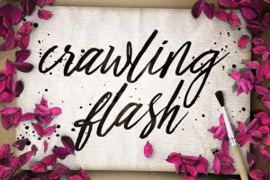 Crawling Flash Script Font