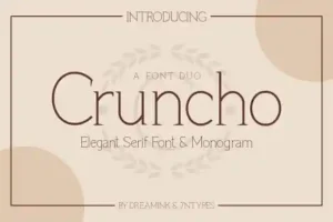 Cruncho Serif Font