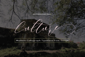 Culture Script Font