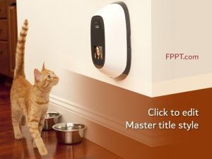 Curious Cat PowerPoint Template