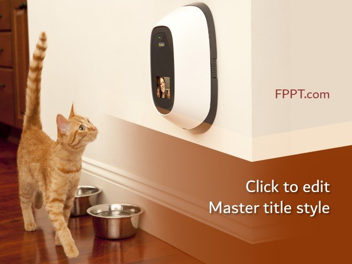 Curious Cat PowerPoint Template