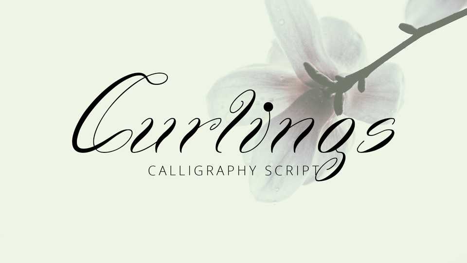 Curlings Script › Fontesk