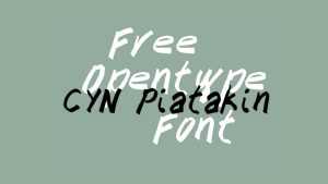 CYN Piatakin Font › Fontesk