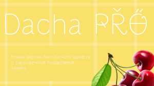 Dacha Pro Font › Fontesk