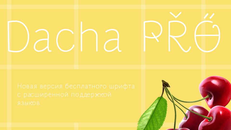 Dacha Pro Font › Fontesk