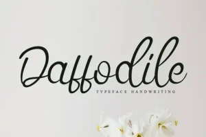 Daffodile Script Font