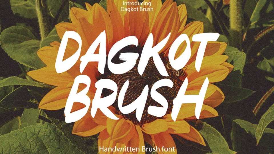 Dagkot Brush Font › Fontesk
