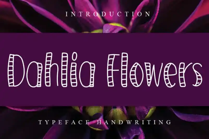 Dahlia Flowers Display Font