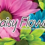 Daisy Flower Handwritten Font - Fonte Grátis Daisy Flower Handwritten Font
