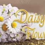 Daisy Flowers Script Font
