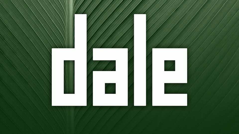 Dale Font Family › Fontesk