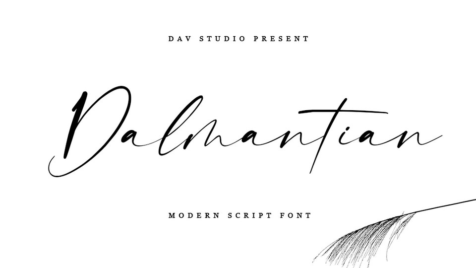 Dalmantian Font › Fontesk
