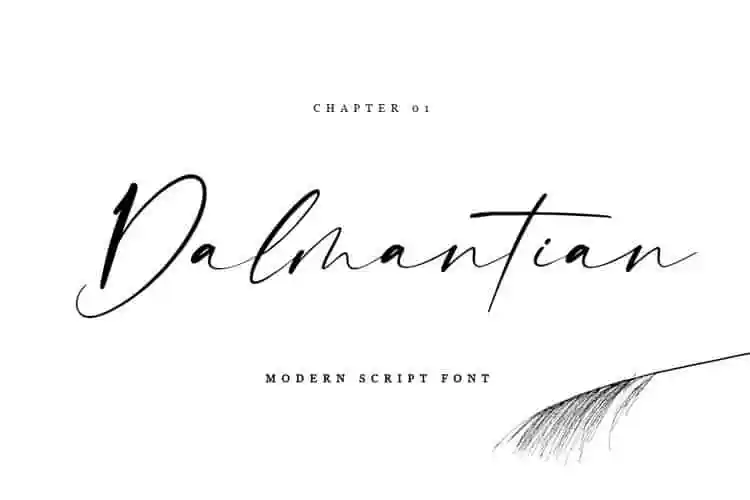 Dalmantian Script Font