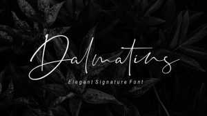Dalmatins Script Font › Fontesk