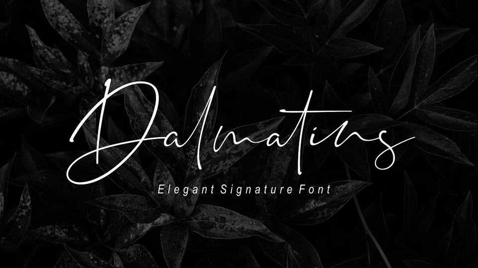 Dalmatins Script Font › Fontesk