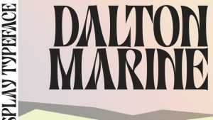 Dalton Marine Font › Fontesk